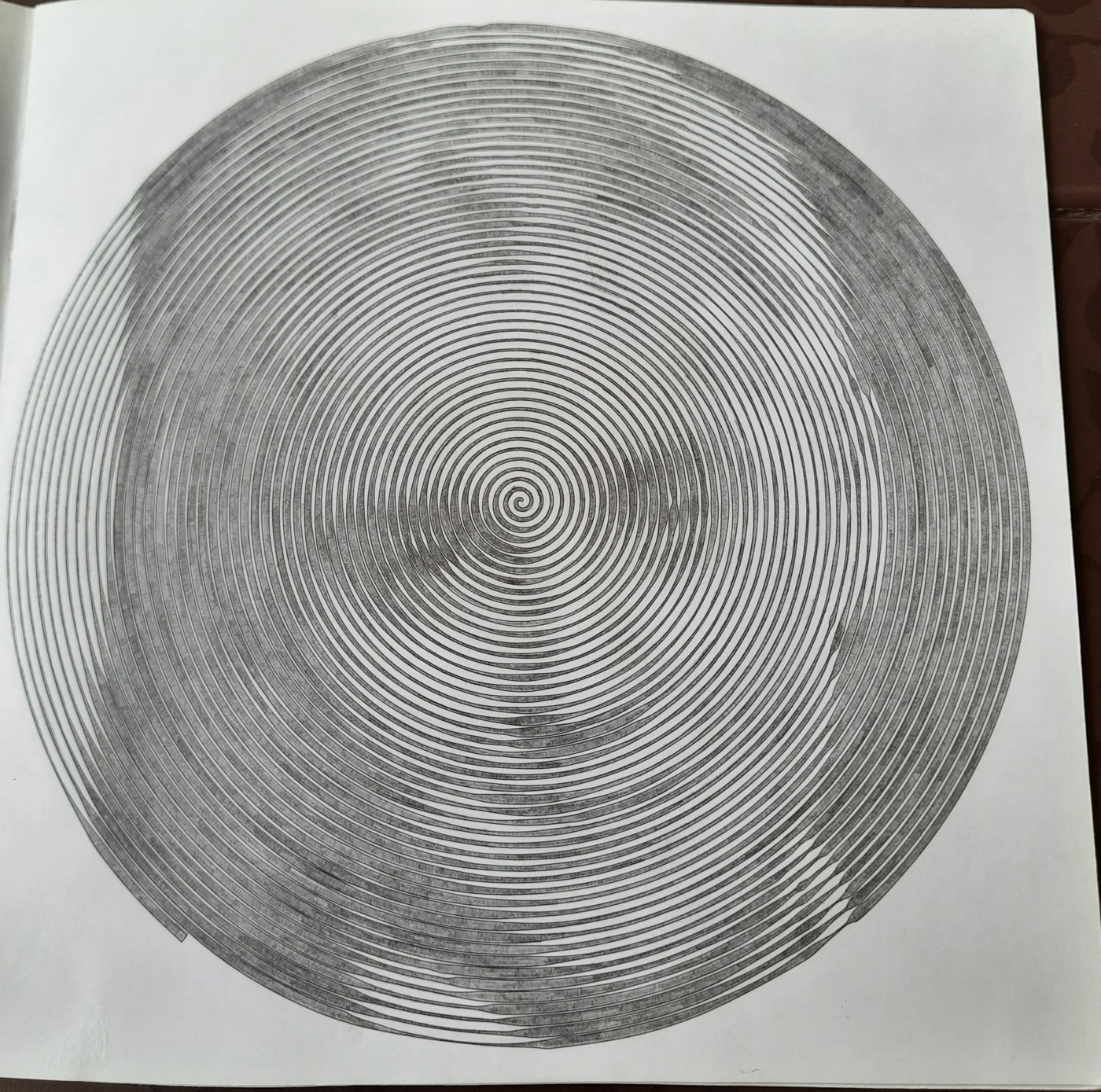 Работа от Veronika Podoplelova