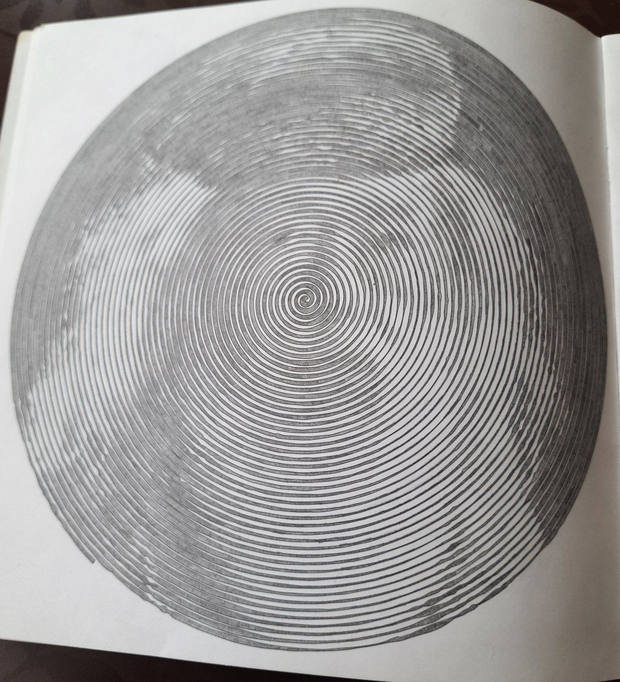 Работа от Veronika Podoplelova