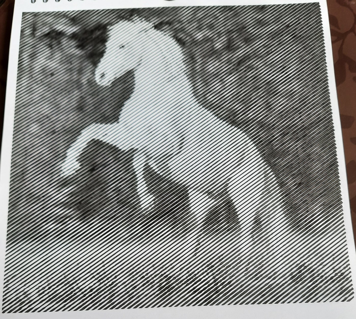 Работа от Veronika Podoplelova