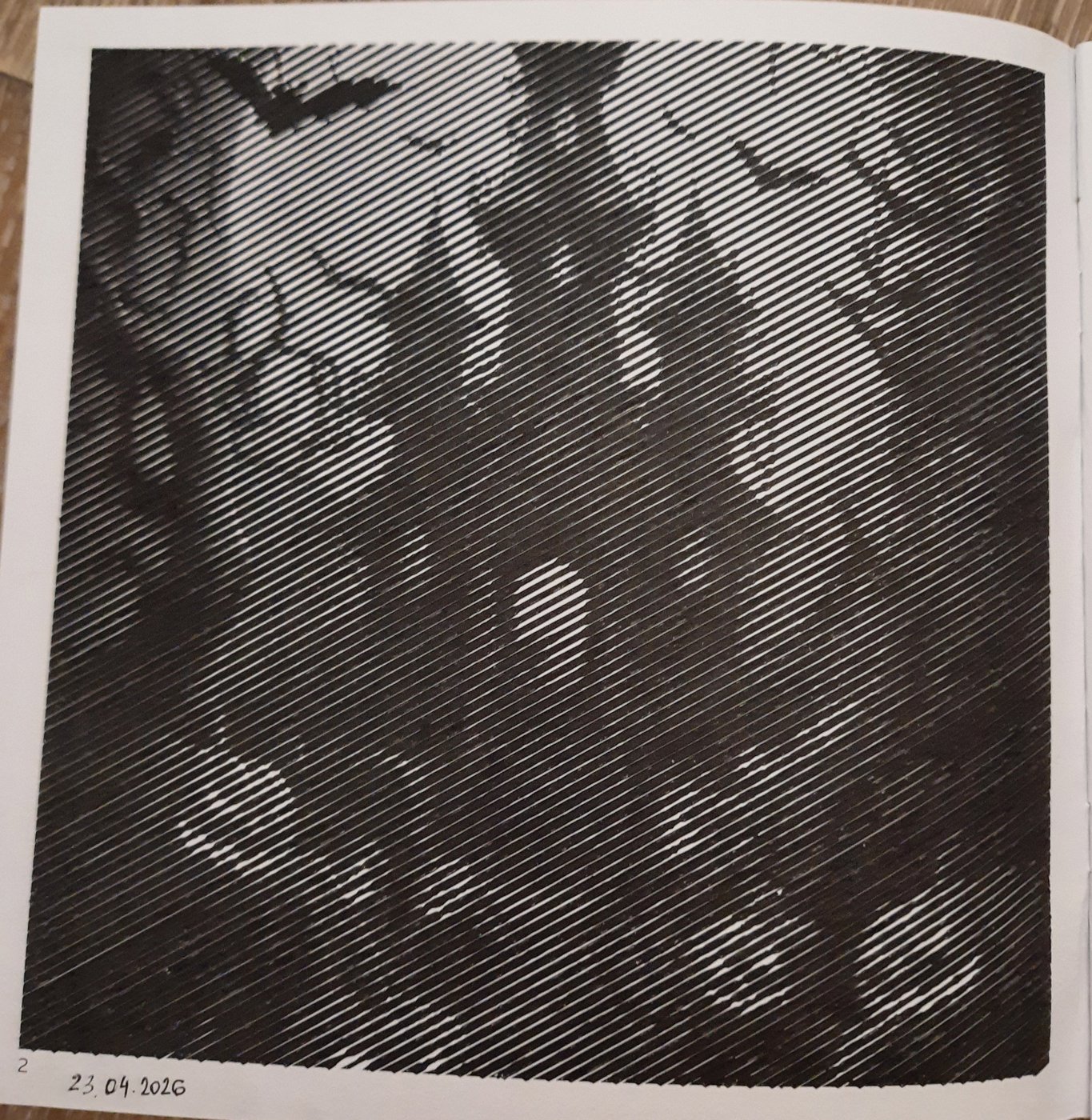 Работа от Veronika Podoplelova