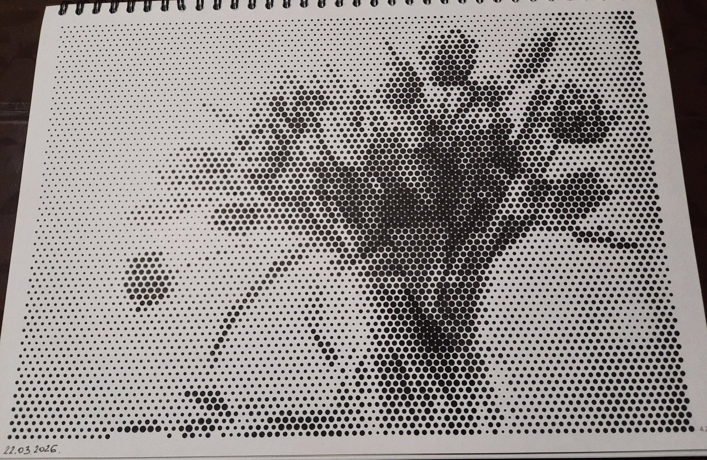 Работа от Veronika Podoplelova