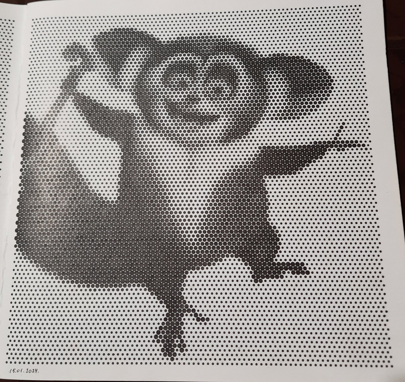 Работа от Veronika Podoplelova