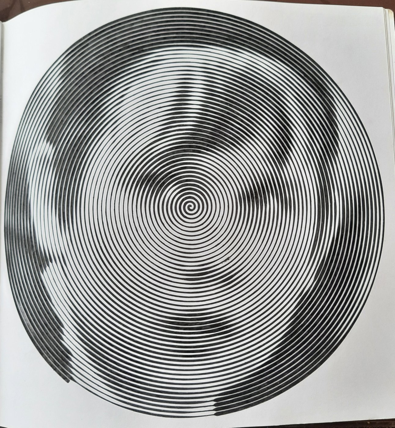 Работа от Veronika Podoplelova