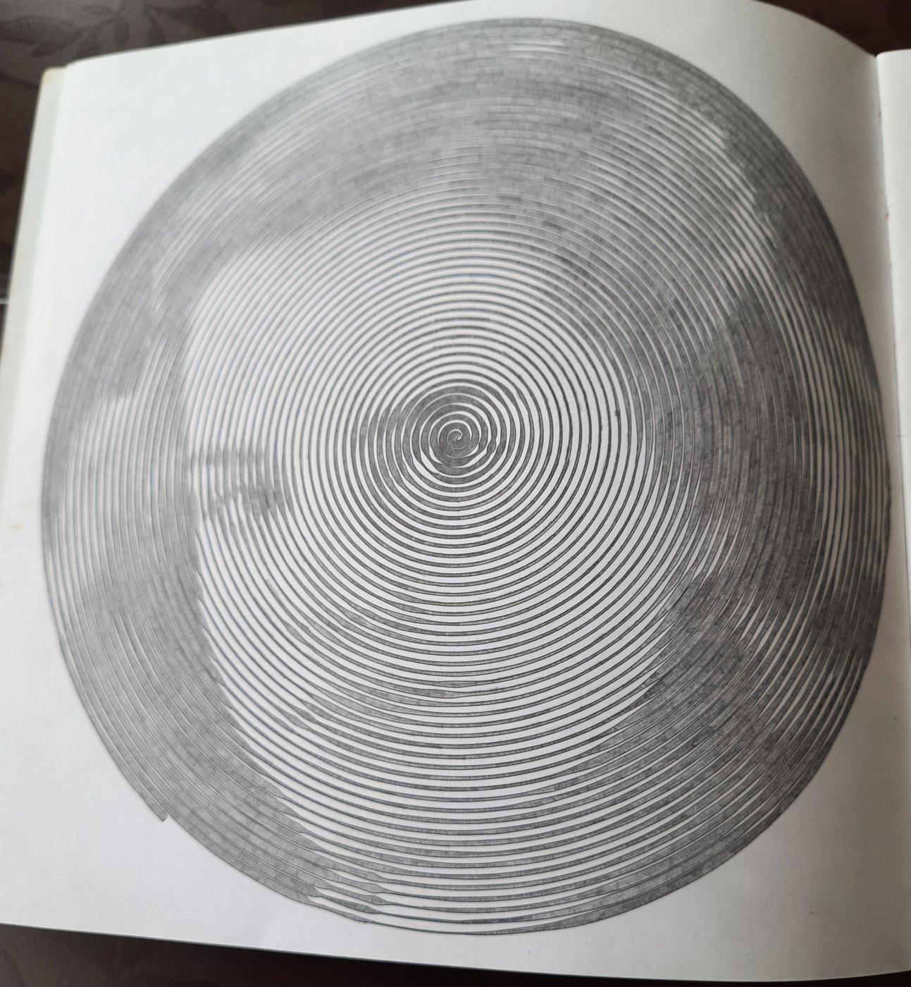 Работа от Veronika Podoplelova