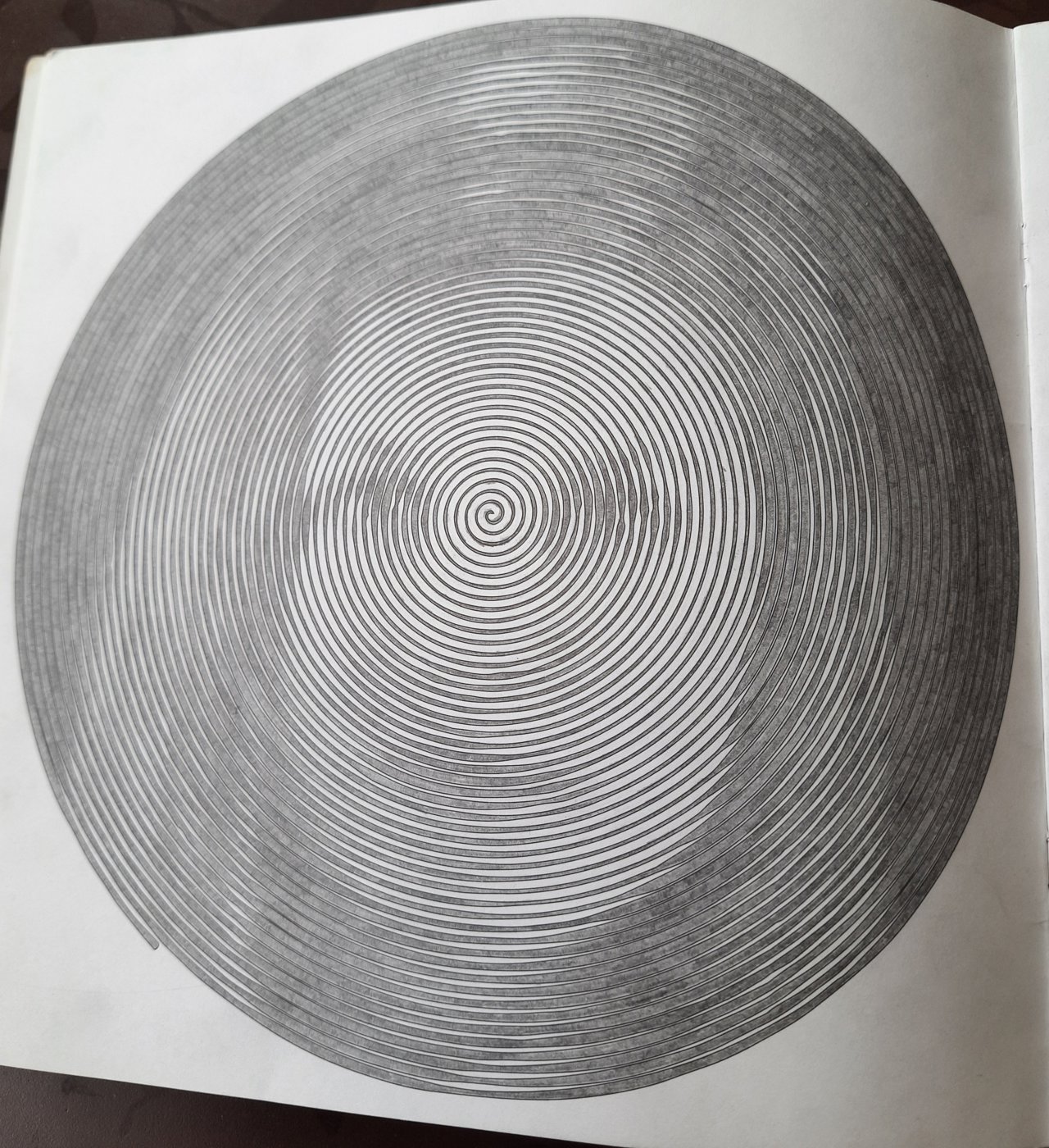 Работа от Veronika Podoplelova