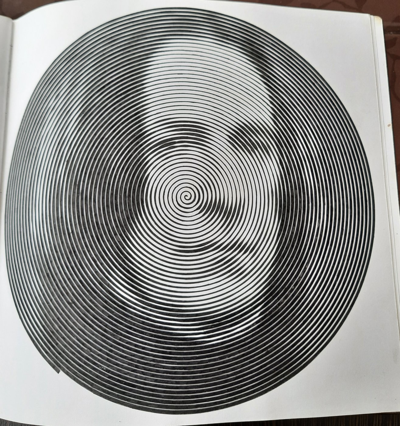 Работа от Veronika Podoplelova