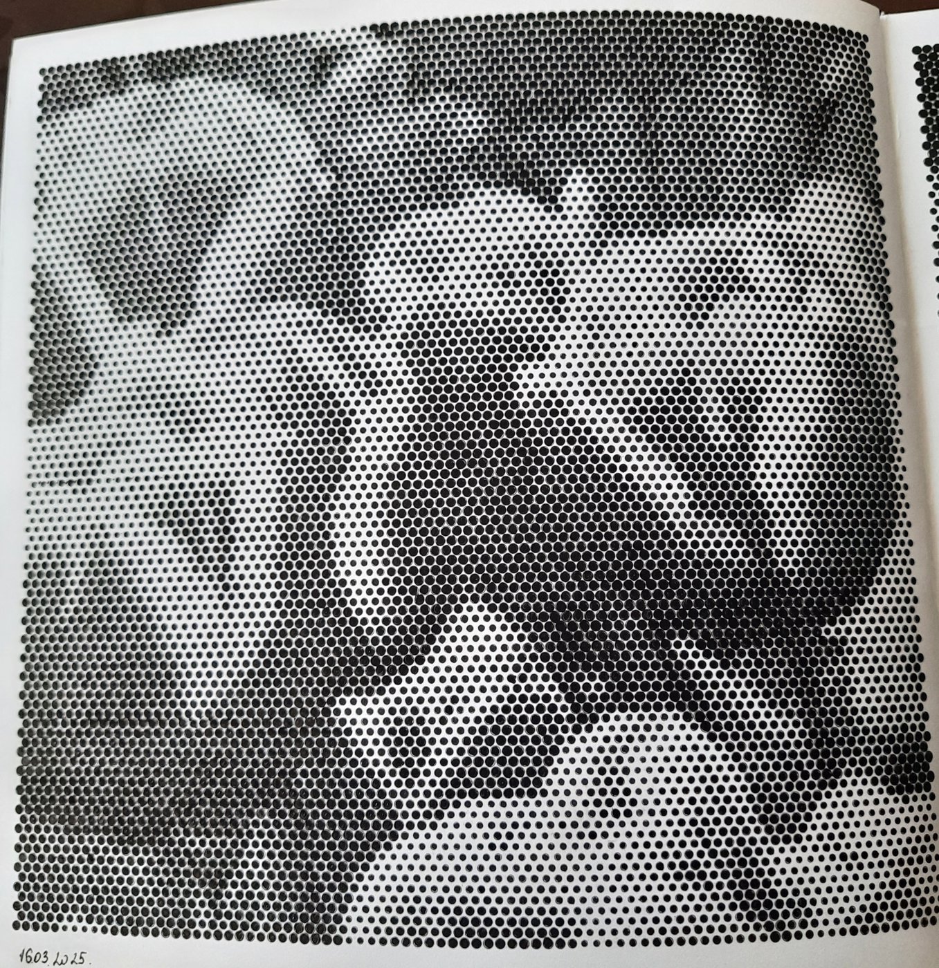 Тюльпаны от Veronika Podoplelova