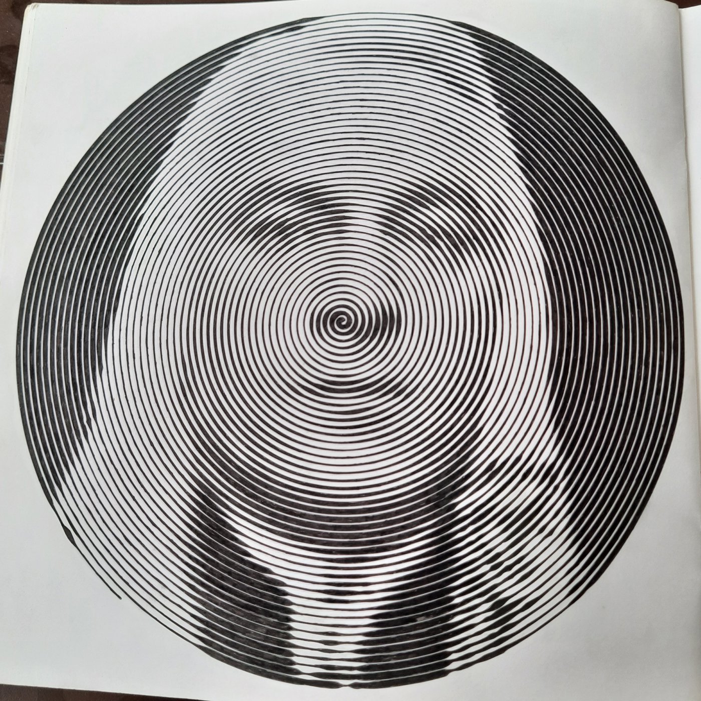 Работа от Veronika Podoplelova