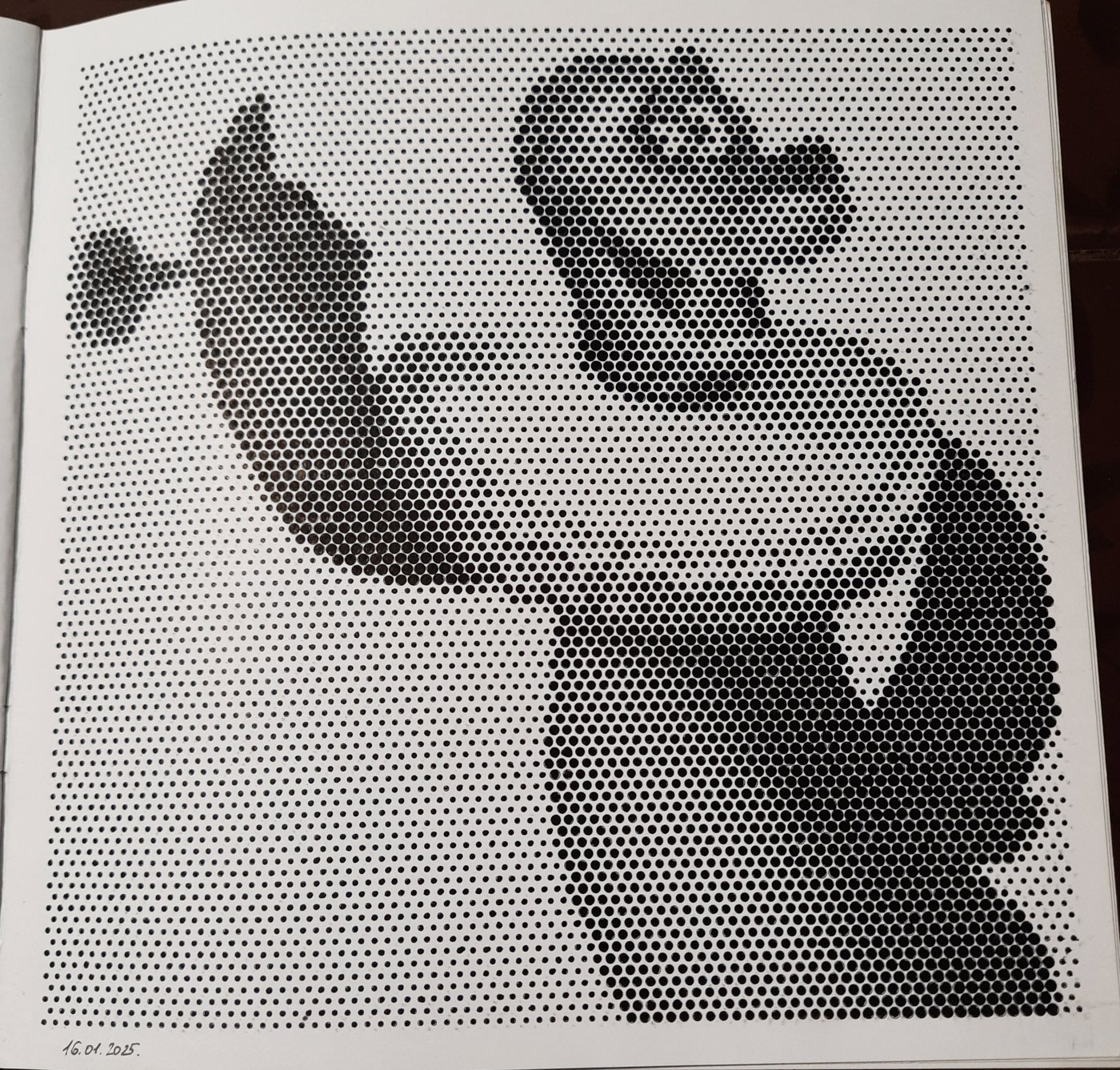 Работа от Veronika Podoplelova