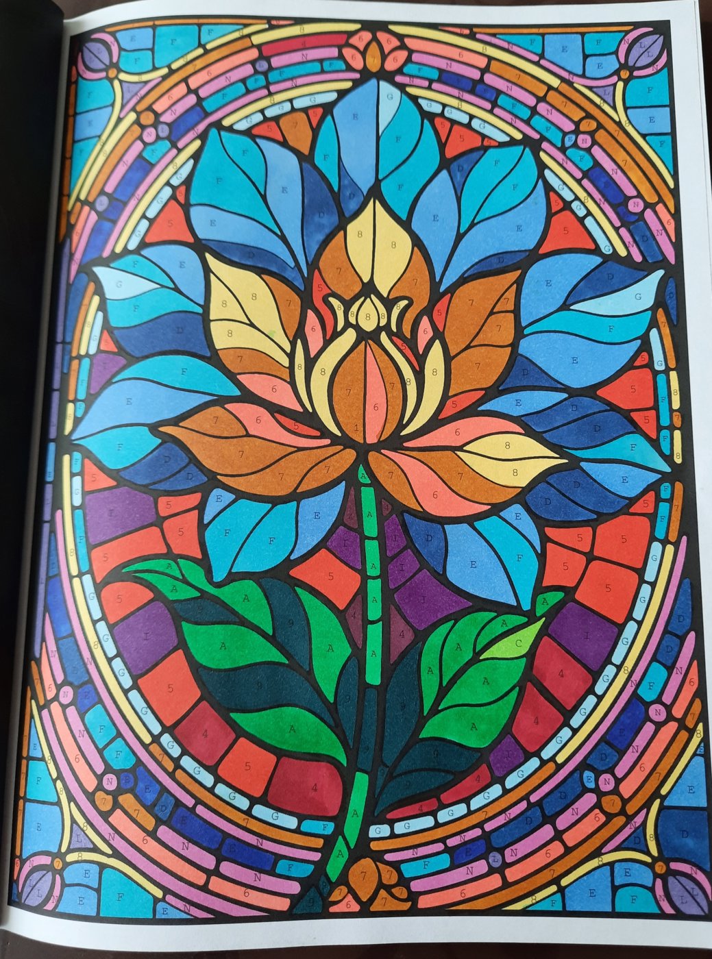 Работа от Veronika Podoplelova