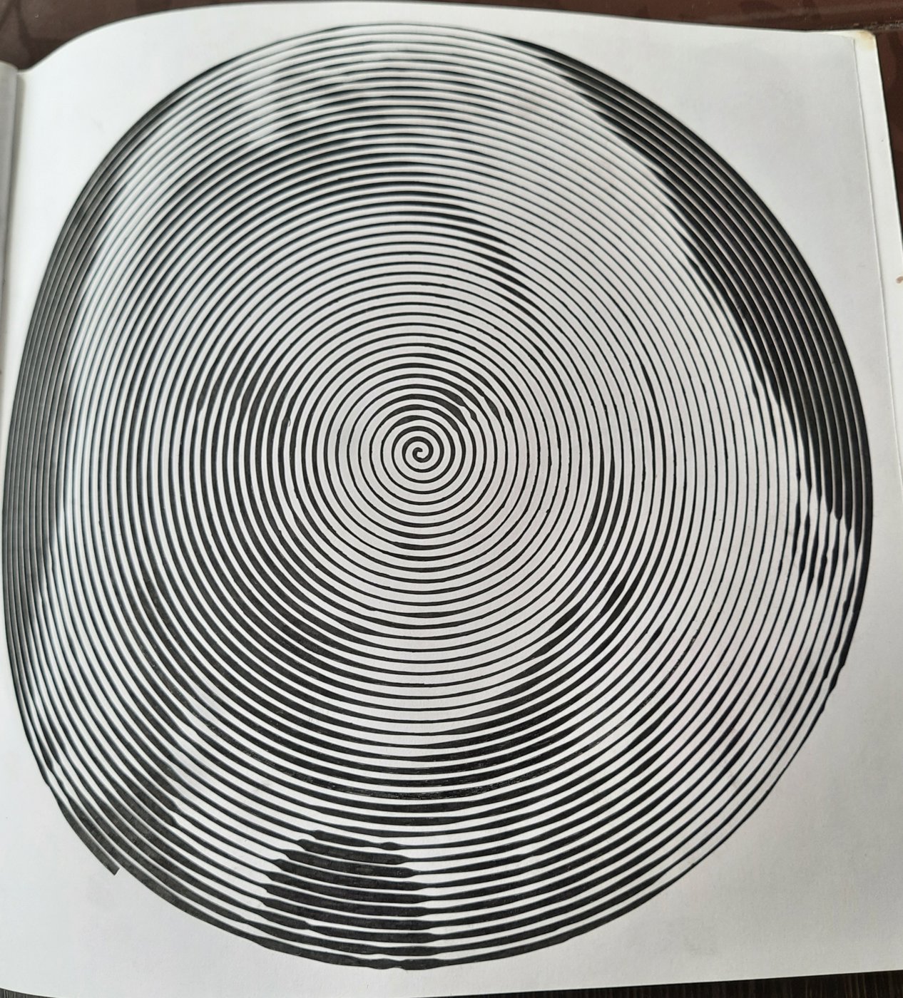 Работа от Veronika Podoplelova