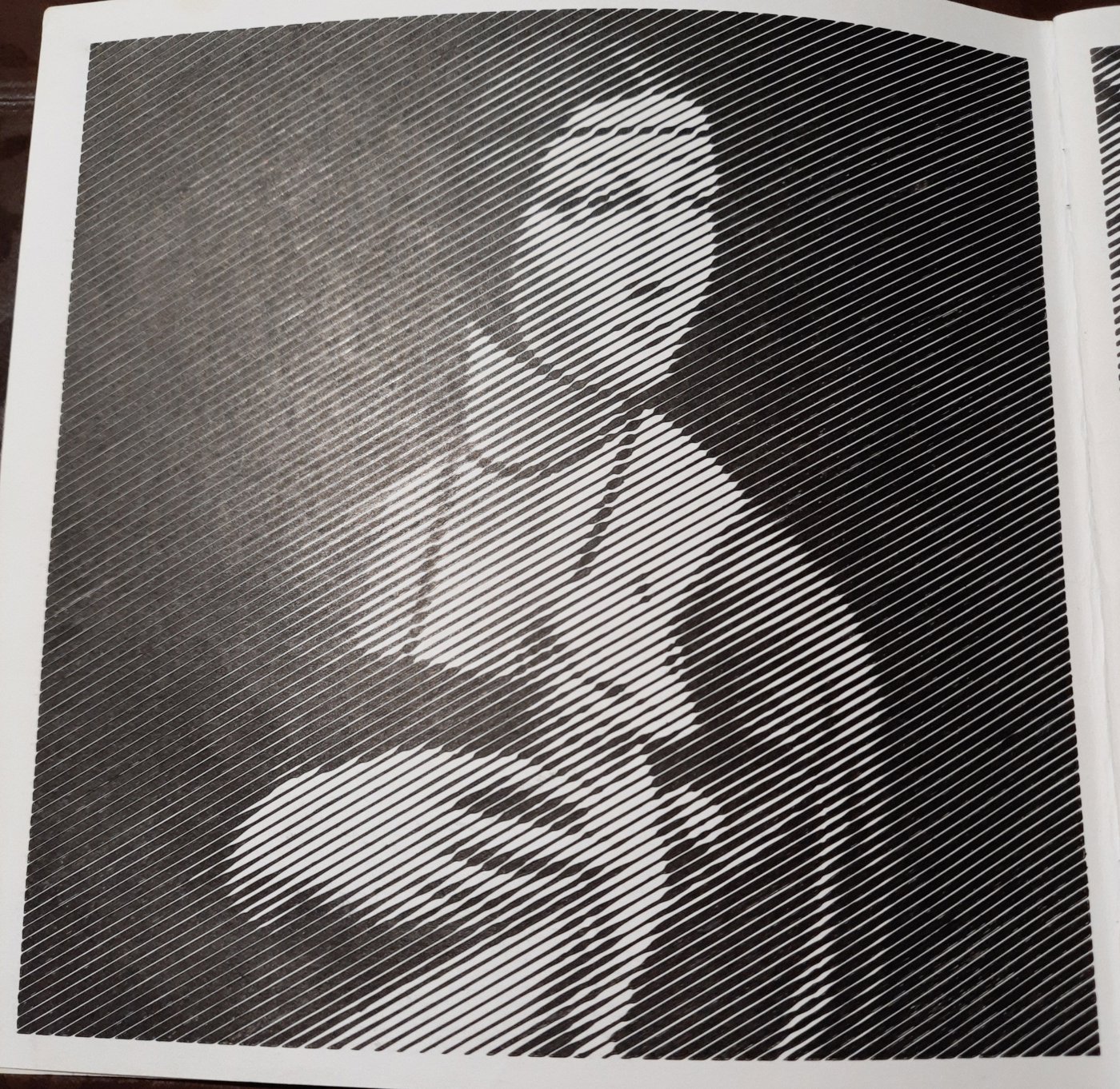 Работа от Veronika Podoplelova