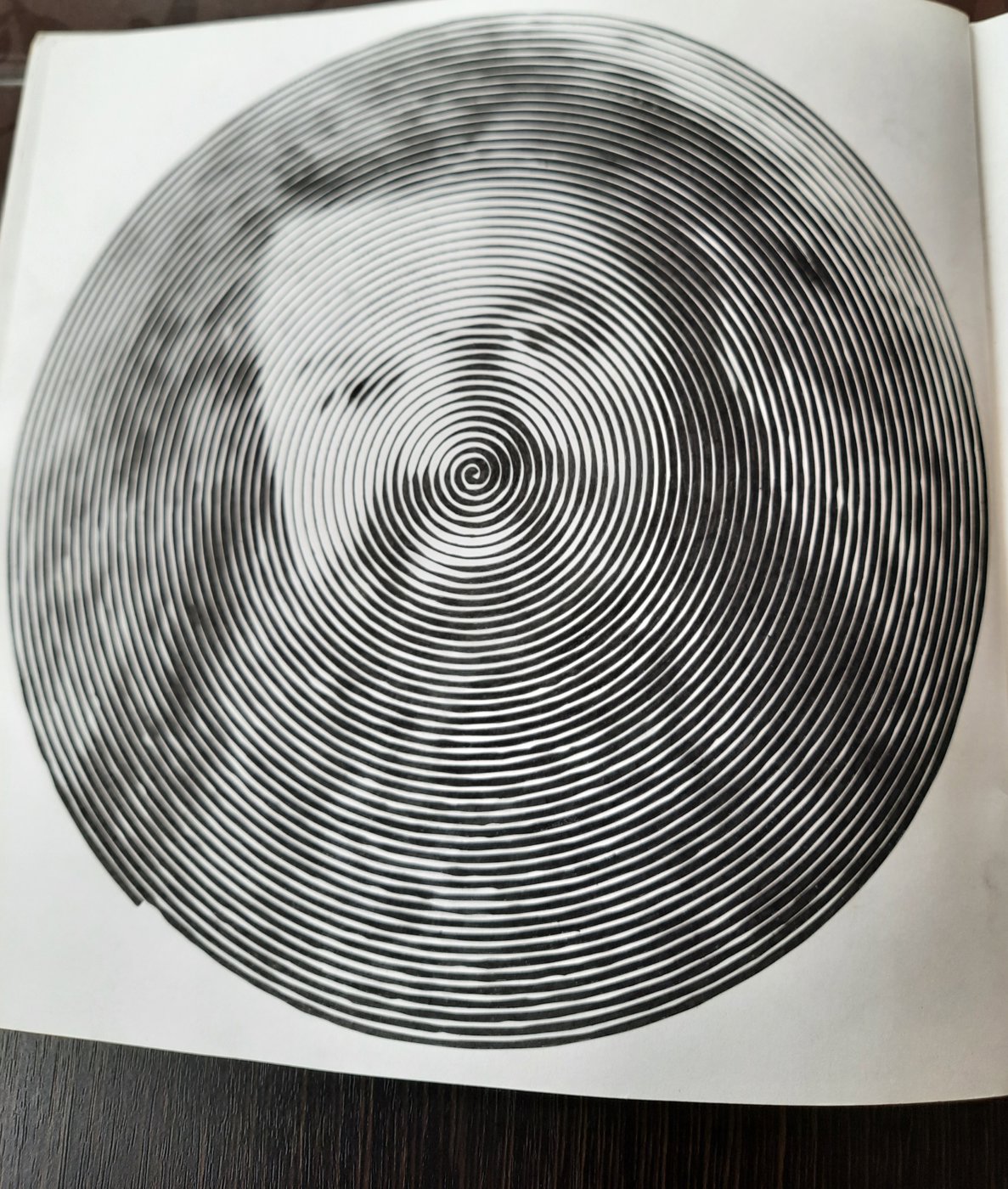 Работа от Veronika Podoplelova