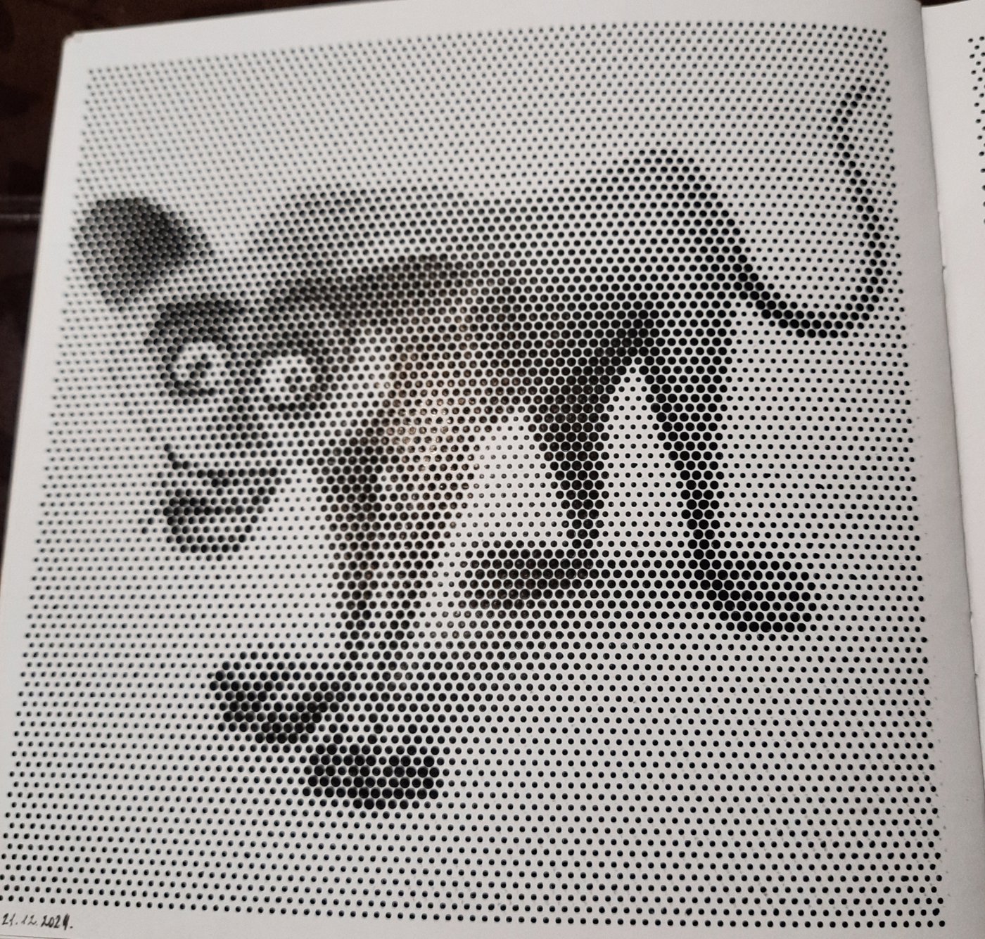 Работа от Veronika Podoplelova