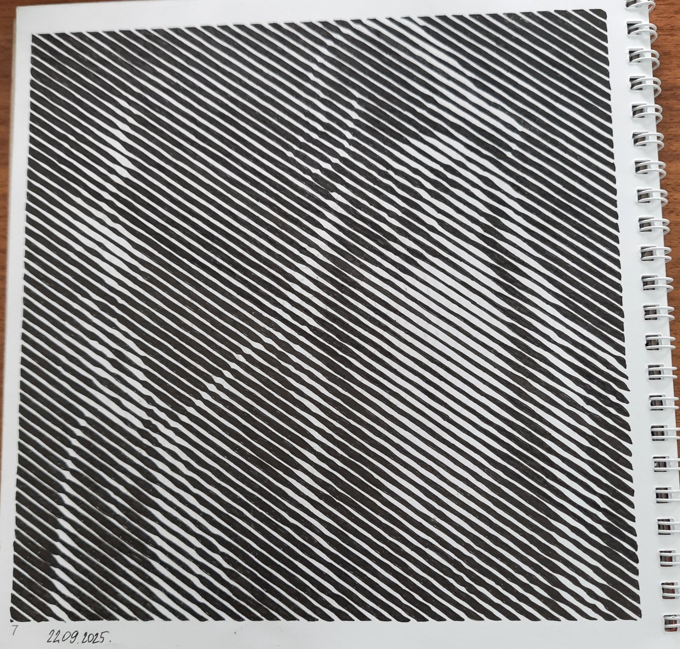 Работа от Veronika Podoplelova