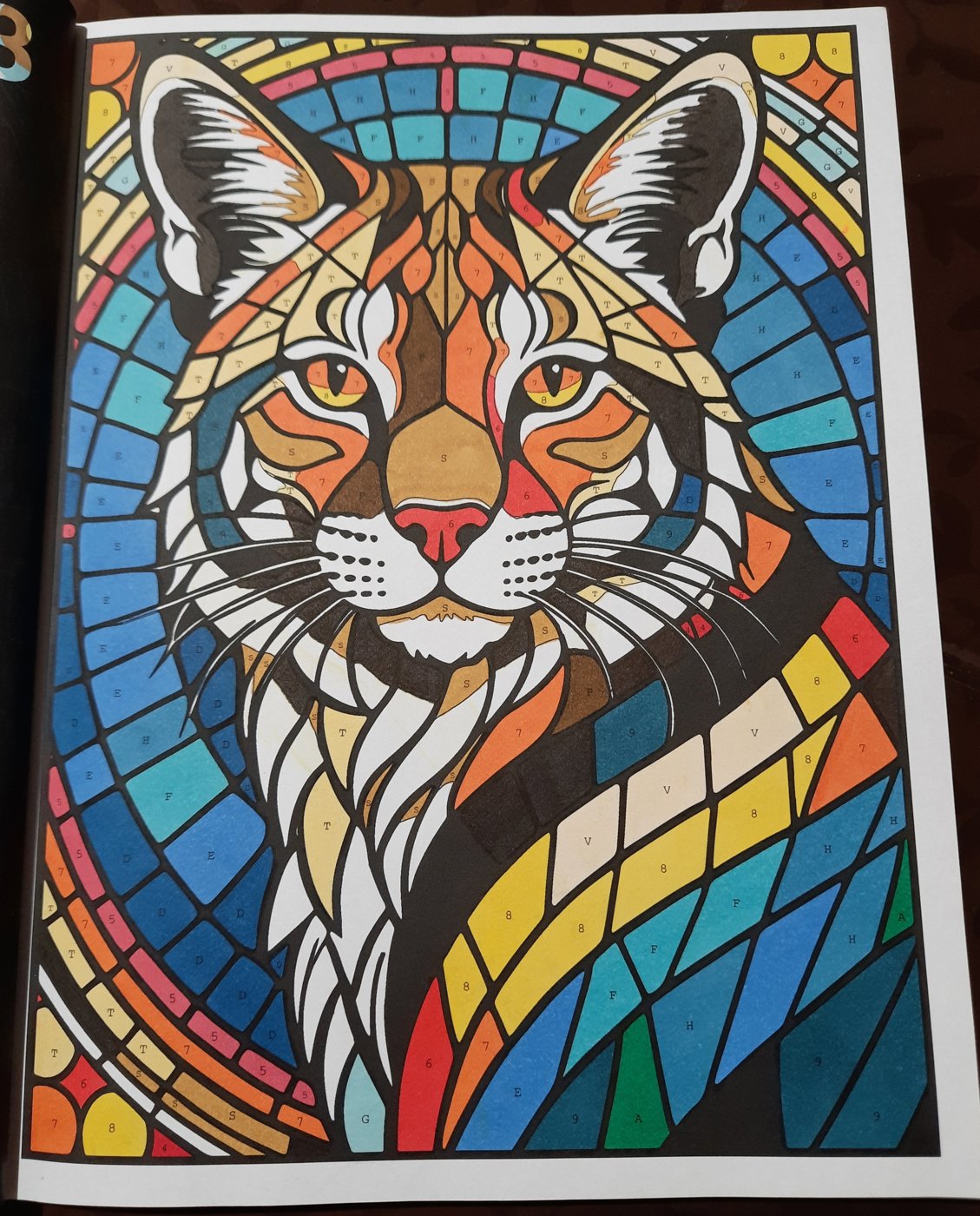 Работа от Veronika Podoplelova