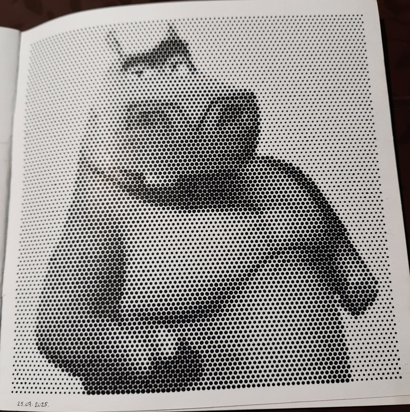 Работа от Veronika Podoplelova