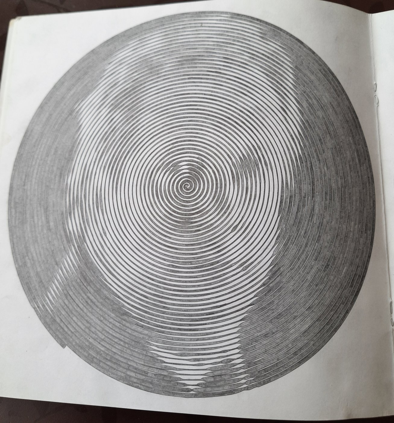 Работа от Veronika Podoplelova