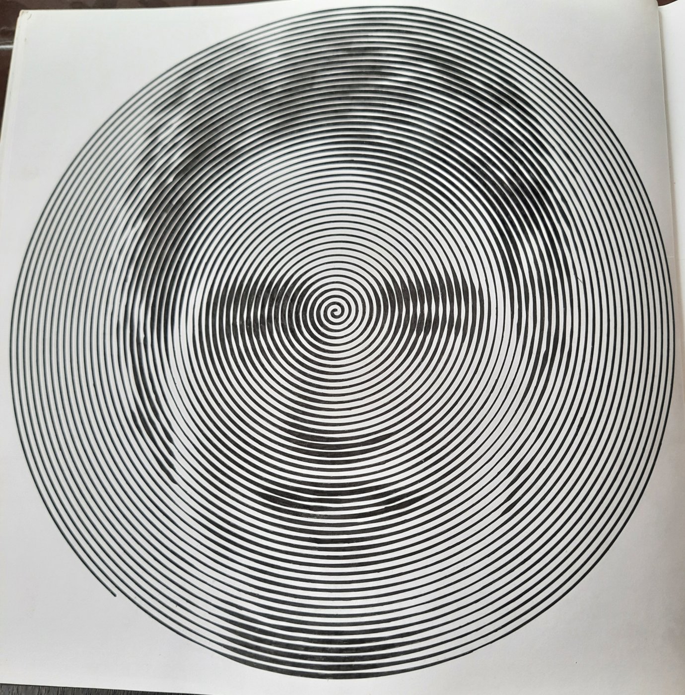 Работа от Veronika Podoplelova