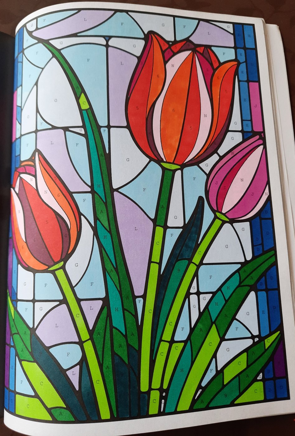 Работа от Veronika Podoplelova