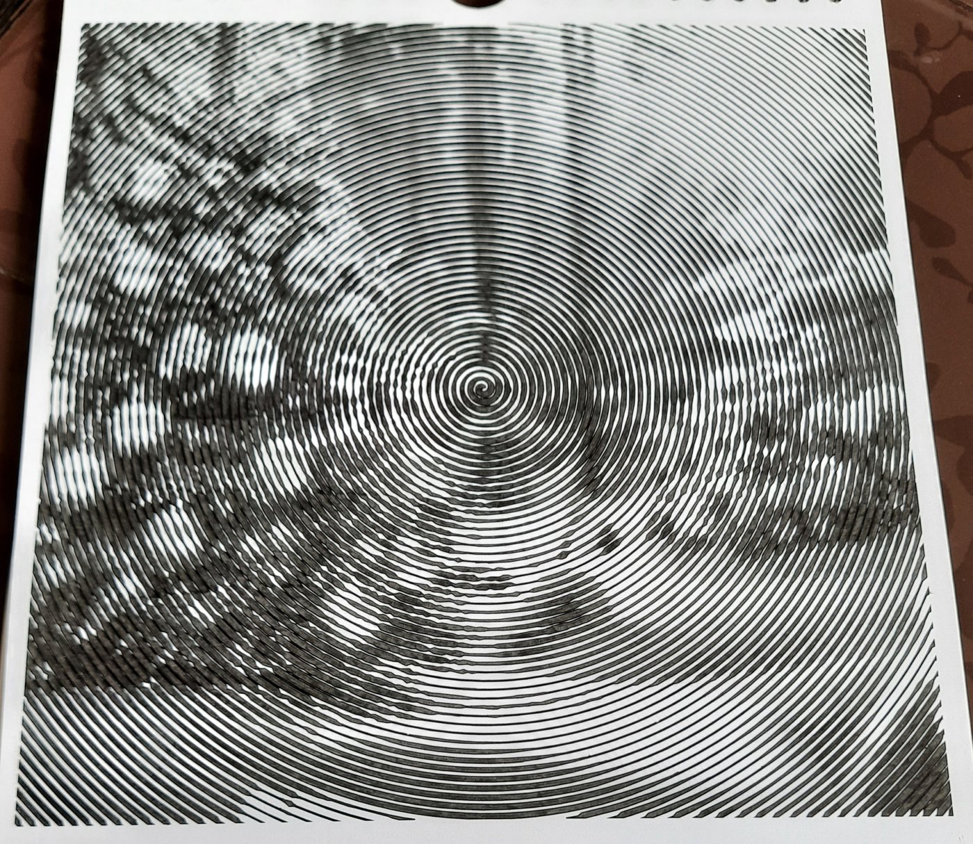 Работа от Veronika Podoplelova