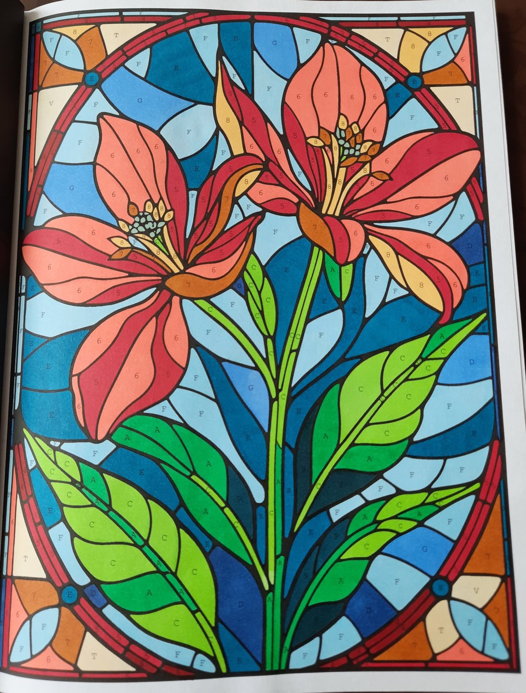 Работа от Veronika Podoplelova