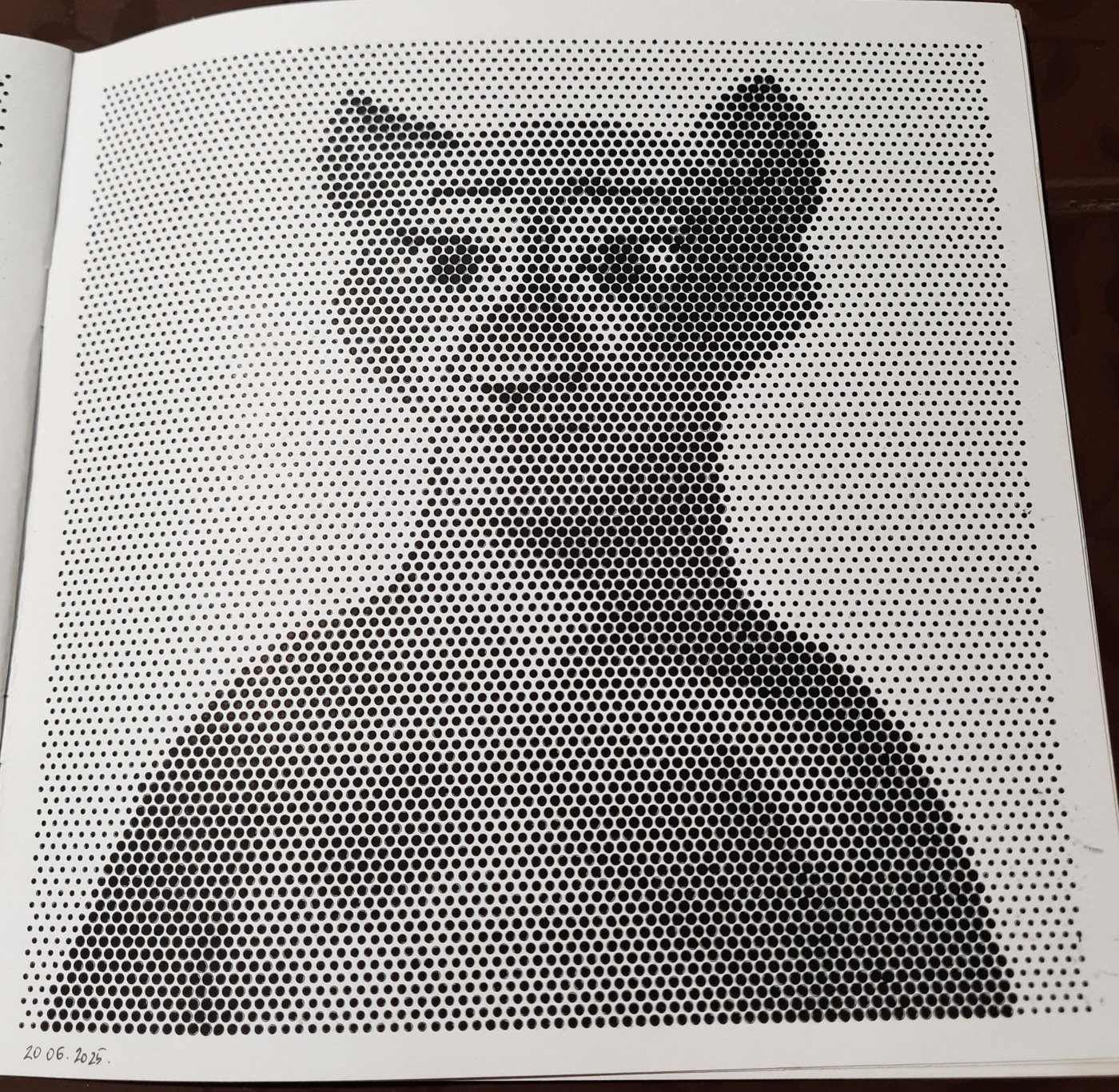 Работа от Veronika Podoplelova