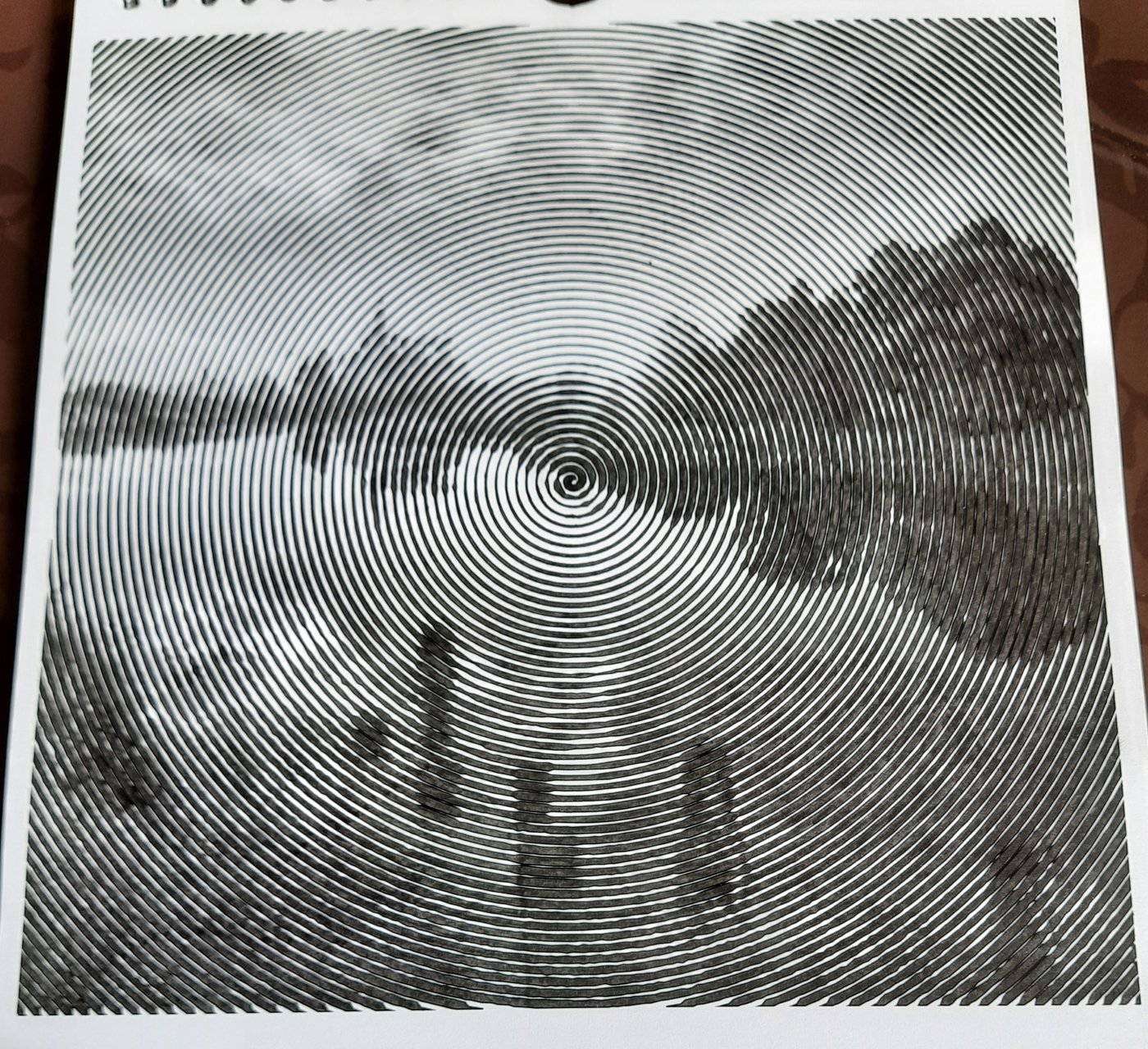 Работа от Veronika Podoplelova