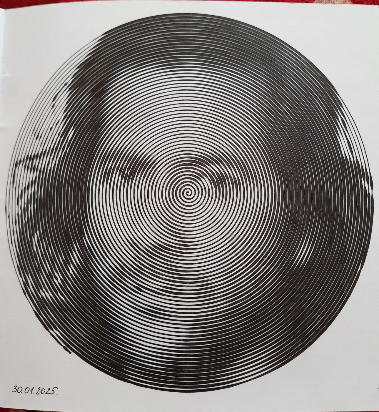 Работа от Veronika Podoplelova