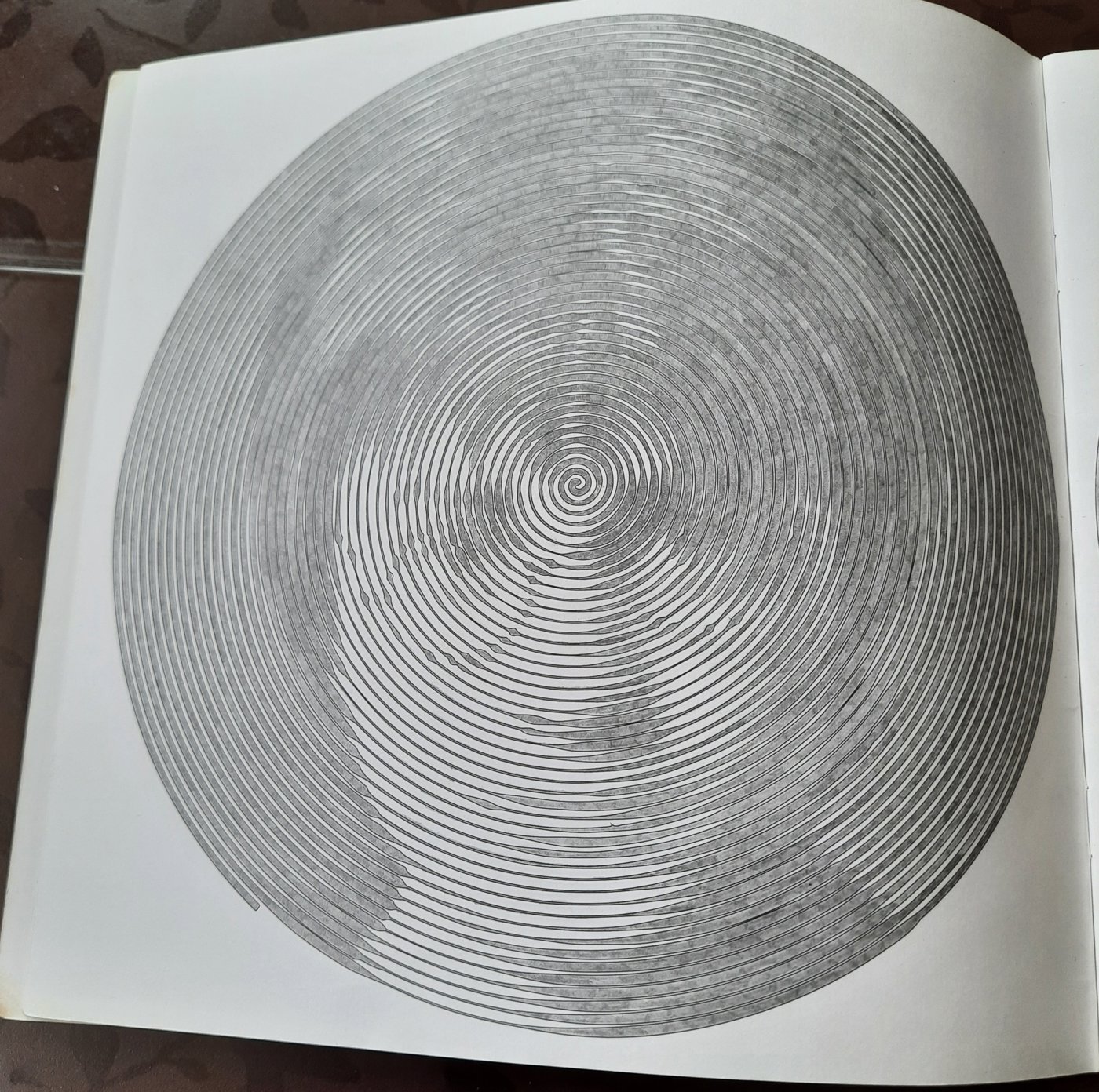 Работа от Veronika Podoplelova