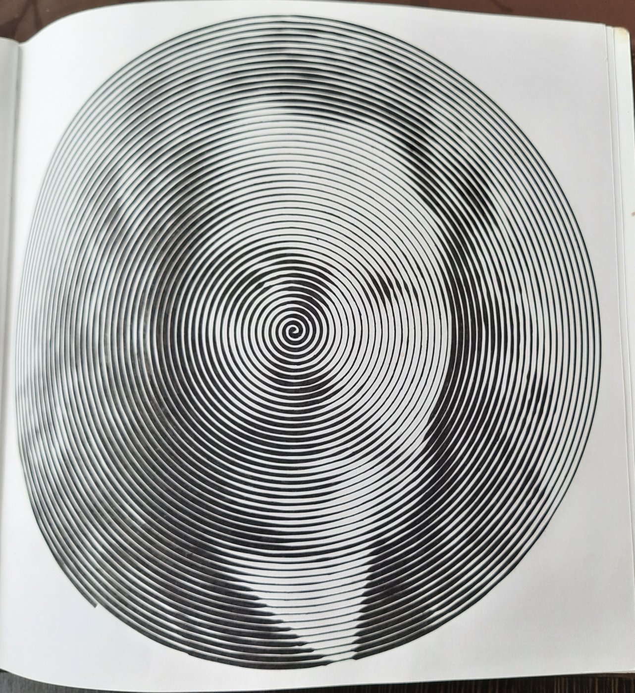 Работа от Veronika Podoplelova