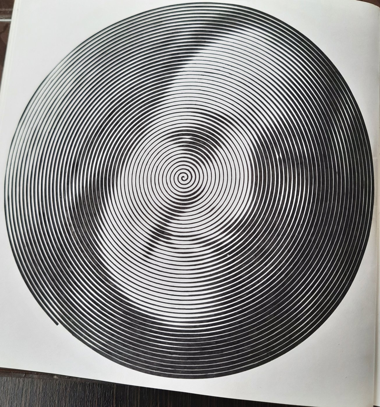 Работа от Veronika Podoplelova