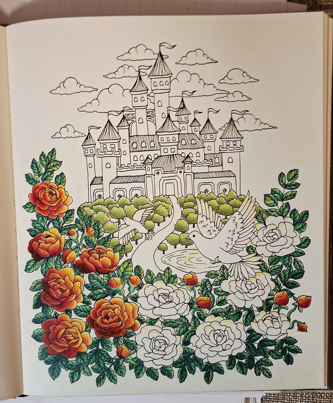 Работа от Лариса (2/3)