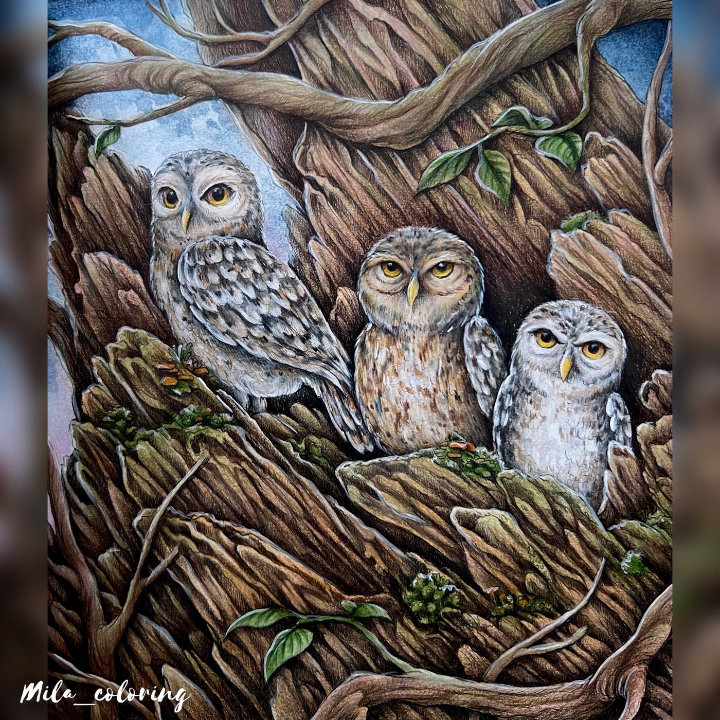 Работа от Мила Ковальчук