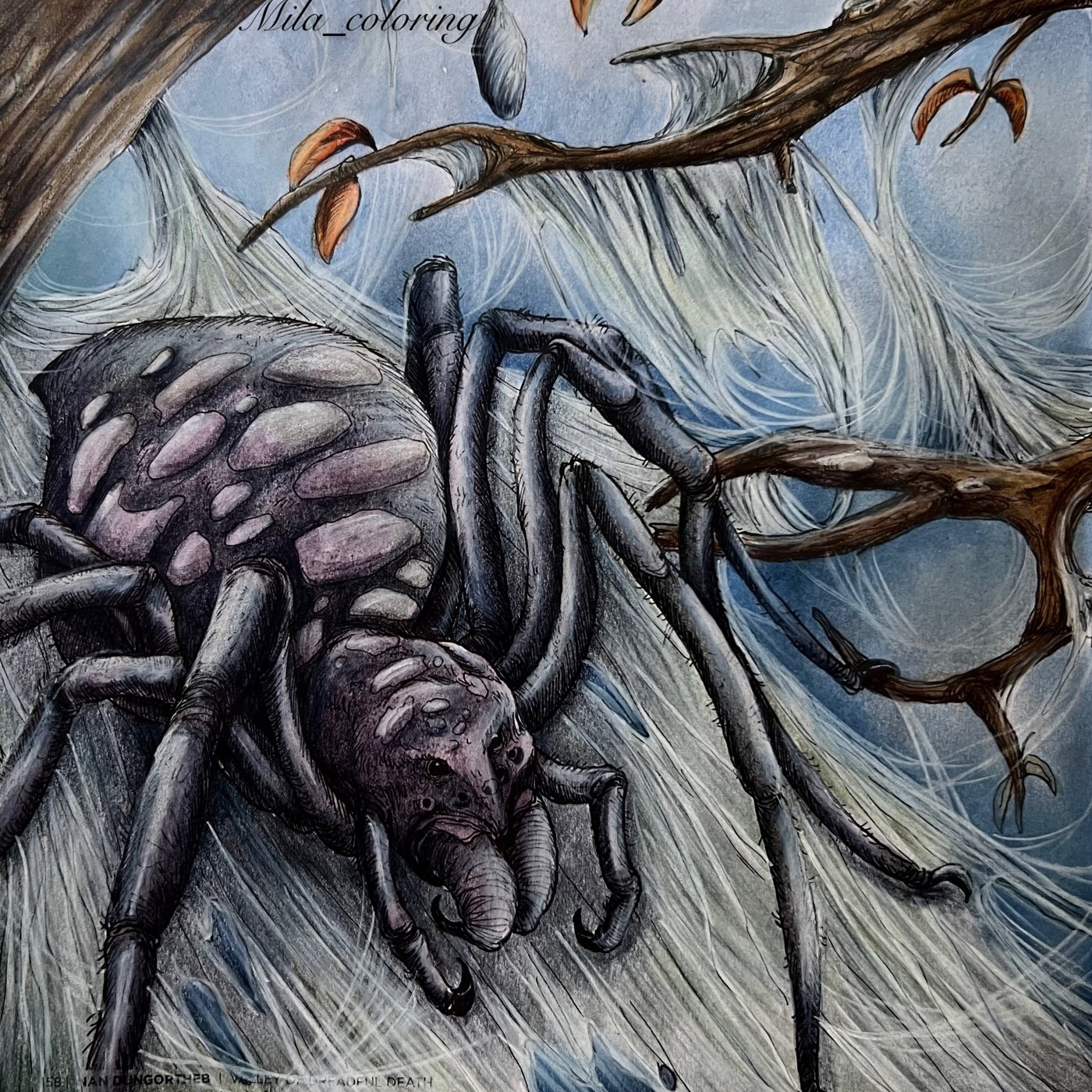 Работа от Мила Ковальчук