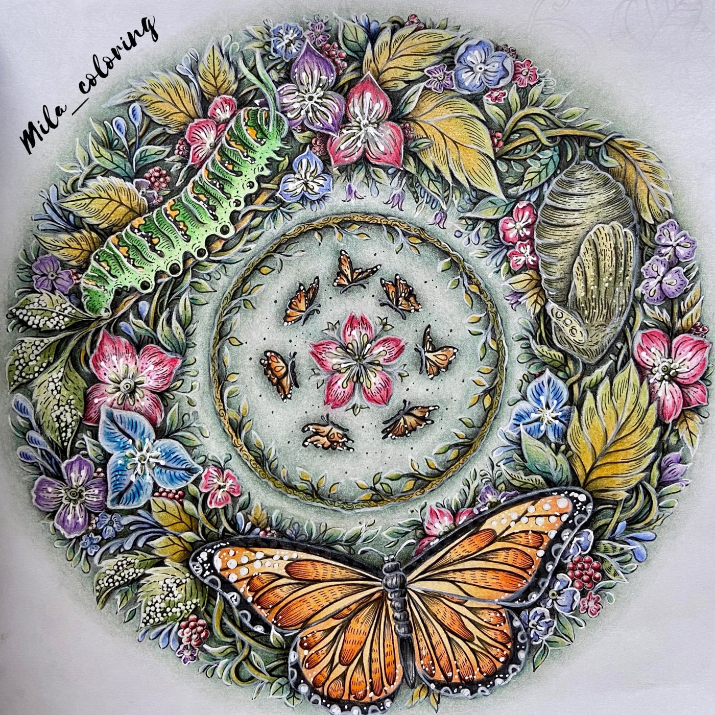 Работа от Мила Ковальчук