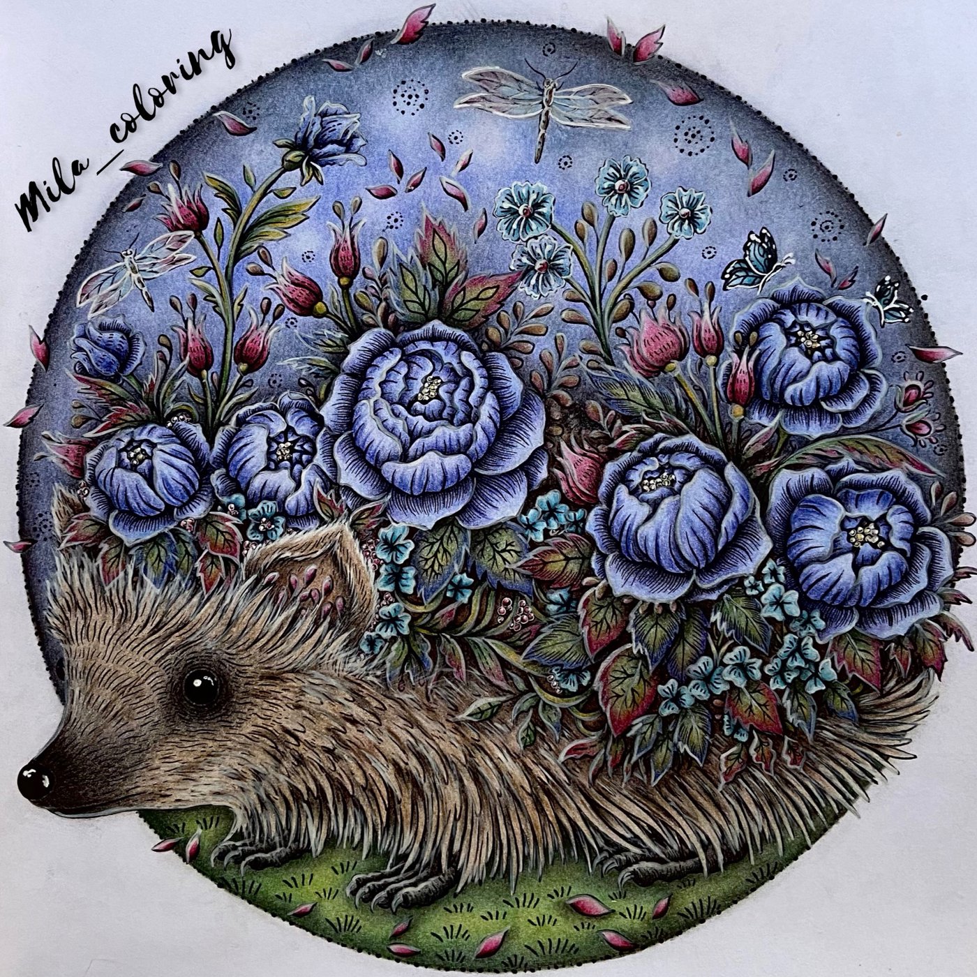 Работа от Мила Ковальчук