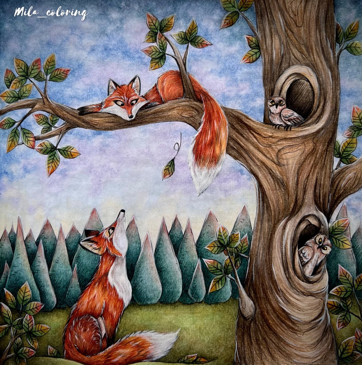 Работа от Мила Ковальчук