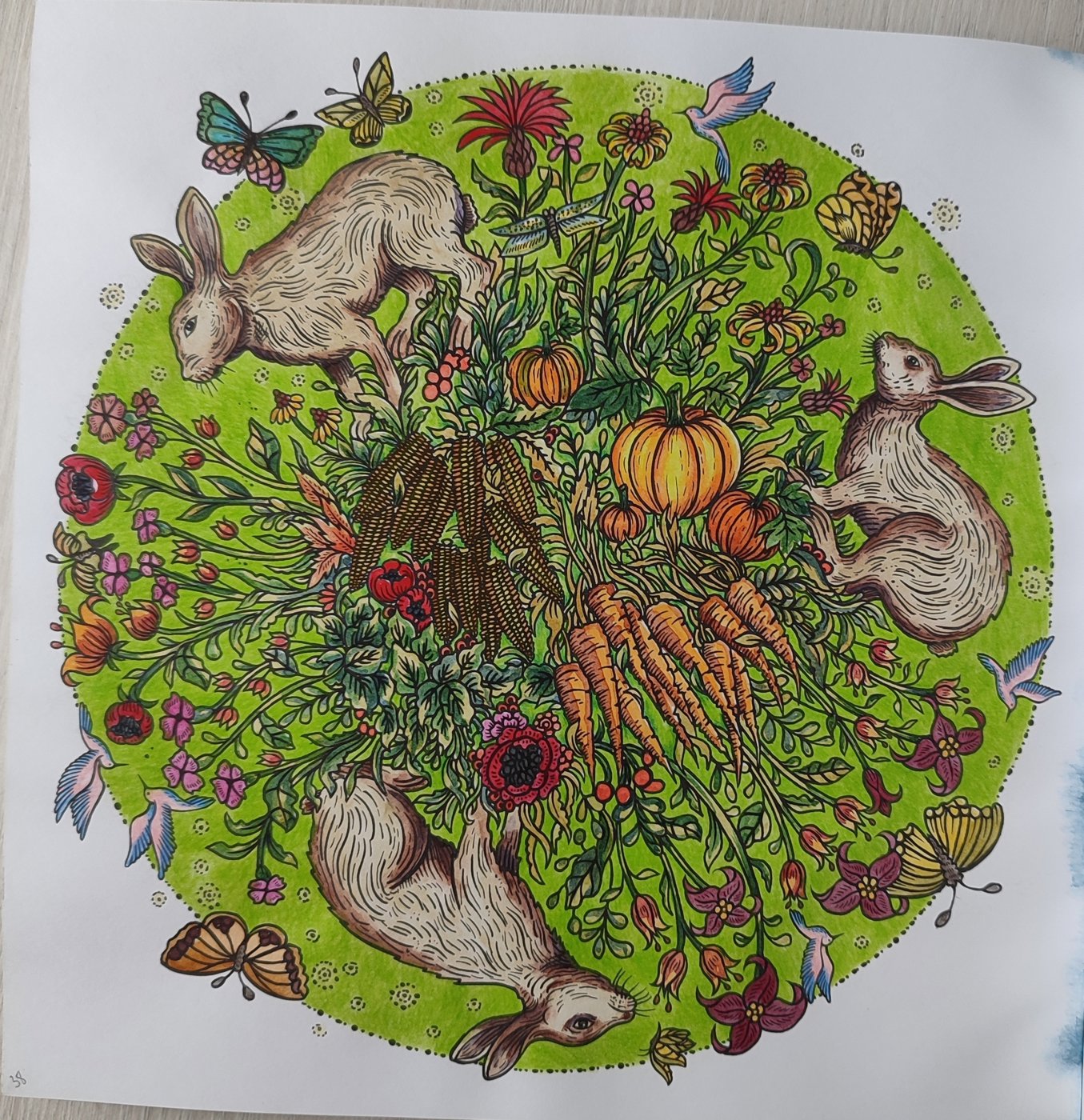 Работа от @anastasiavbs