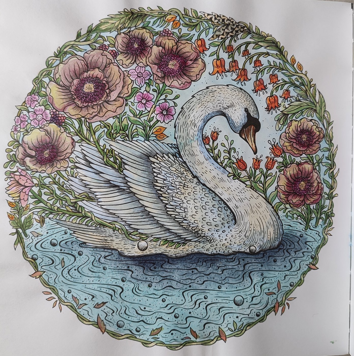 Работа от @anastasiavbs