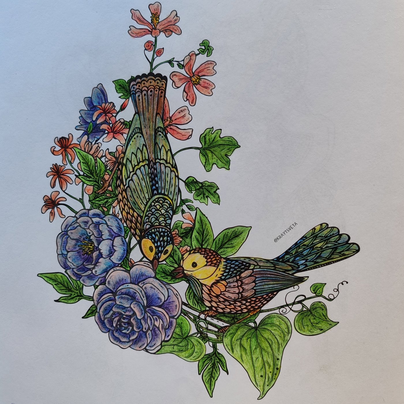 Птицы от KrayTsveta