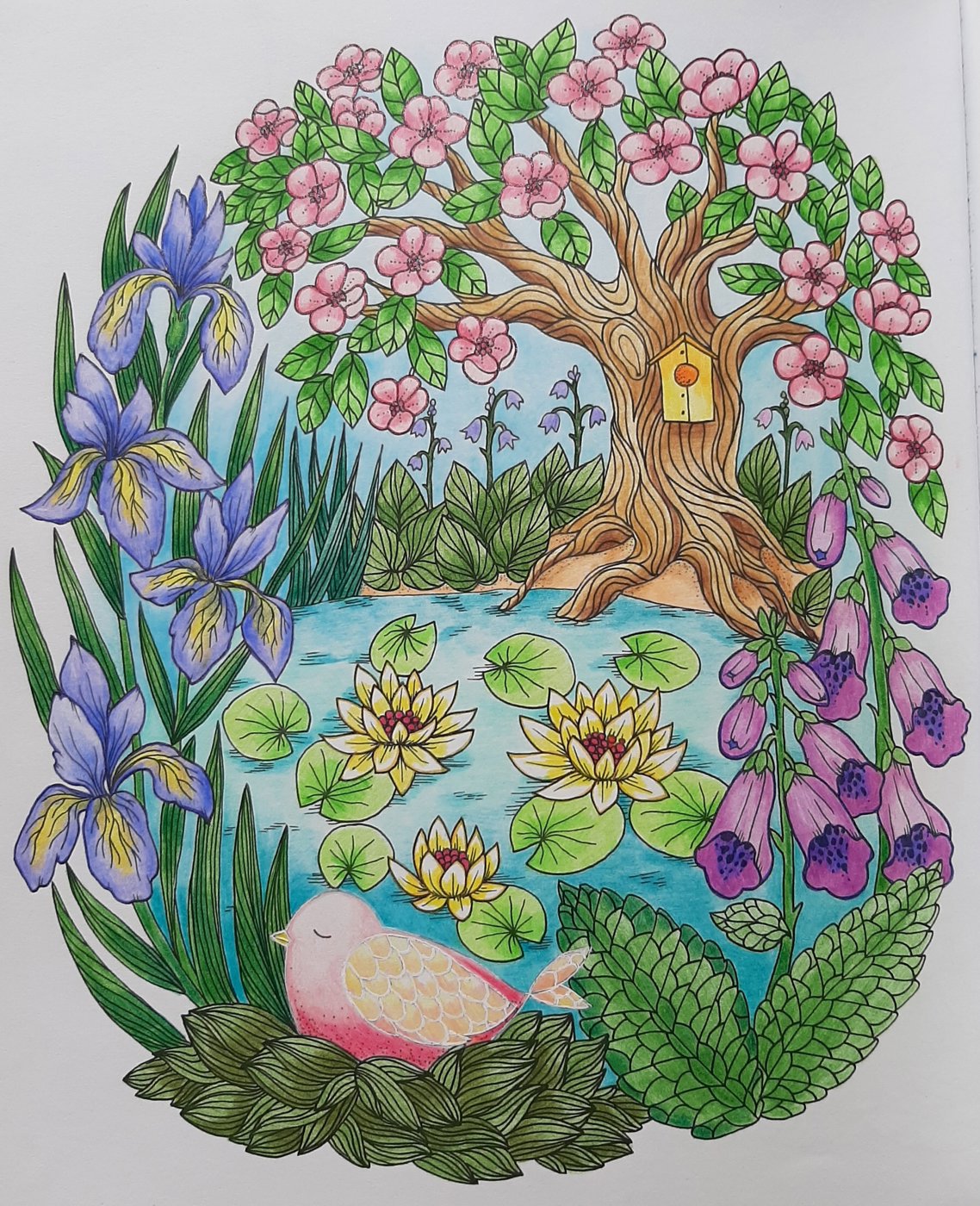 Работа от Natalya_coloring