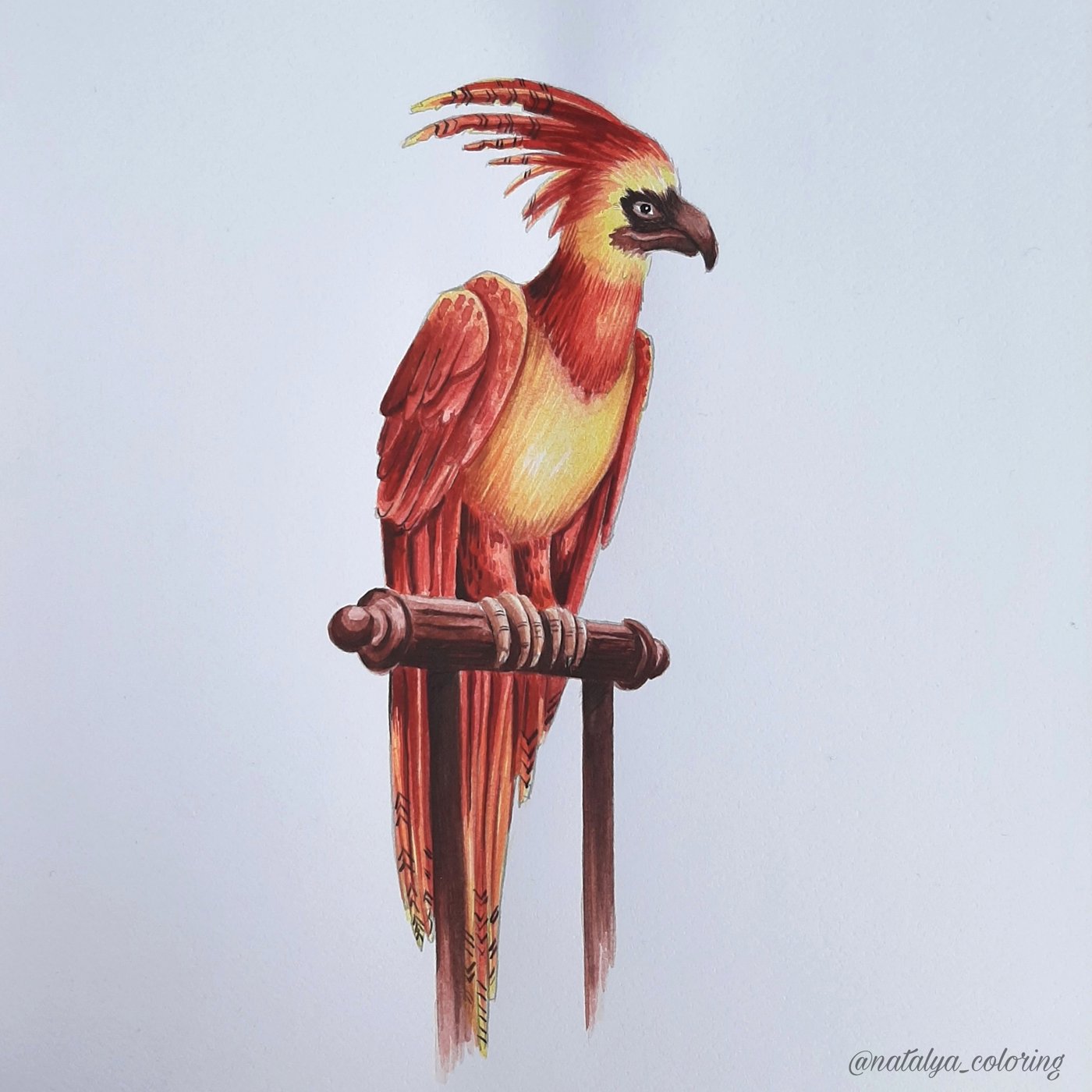 Работа от Natalya_coloring