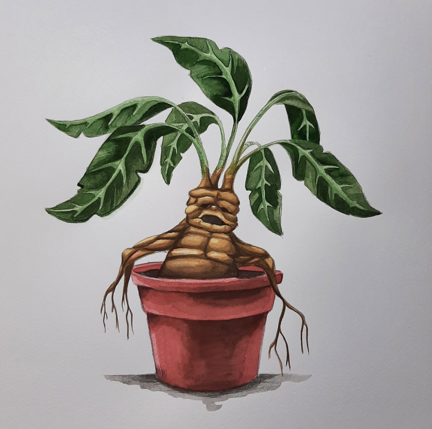 Работа от Natalya_coloring