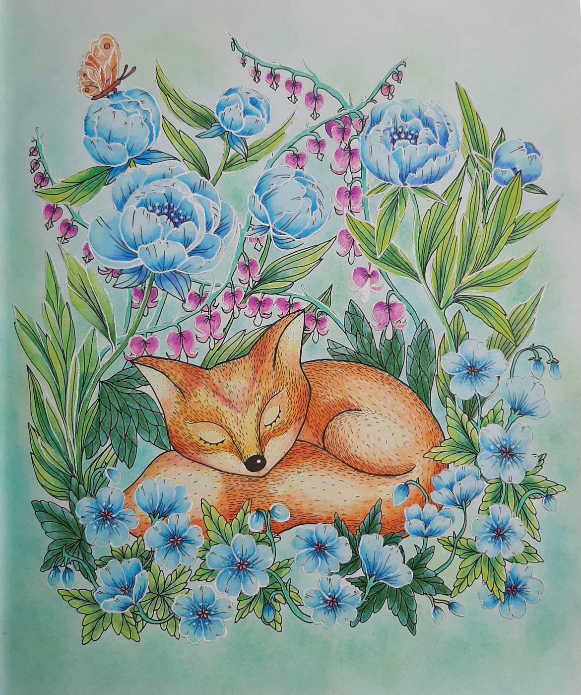 Работа от Natalya_coloring