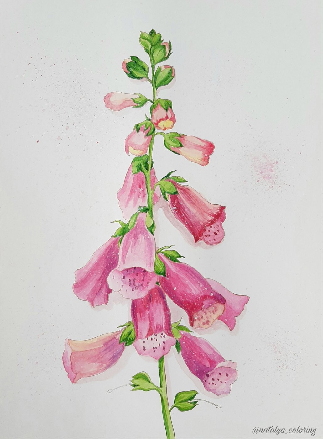 Работа от Natalya_coloring