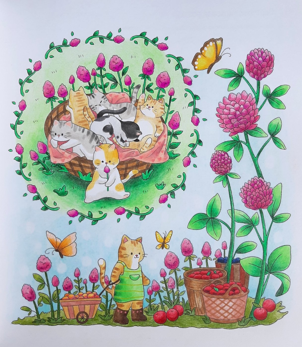 Работа от Natalya_coloring