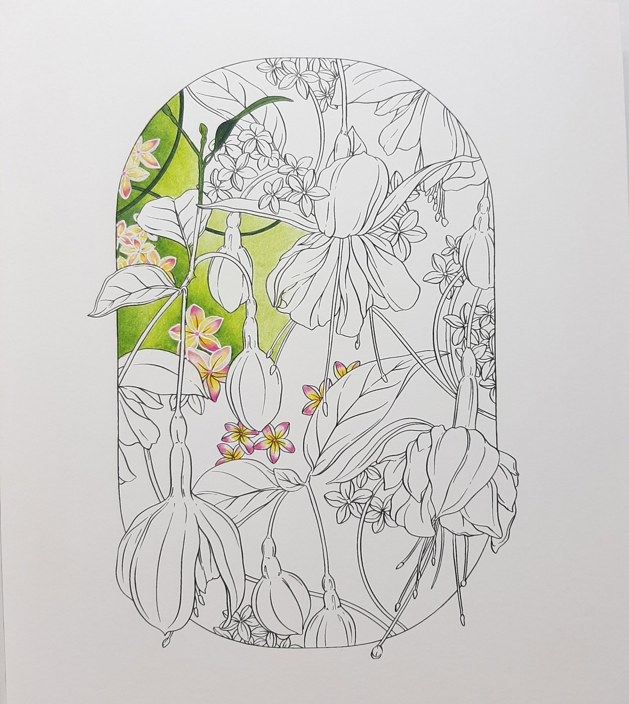 Работа от Natalya_coloring (3/3)