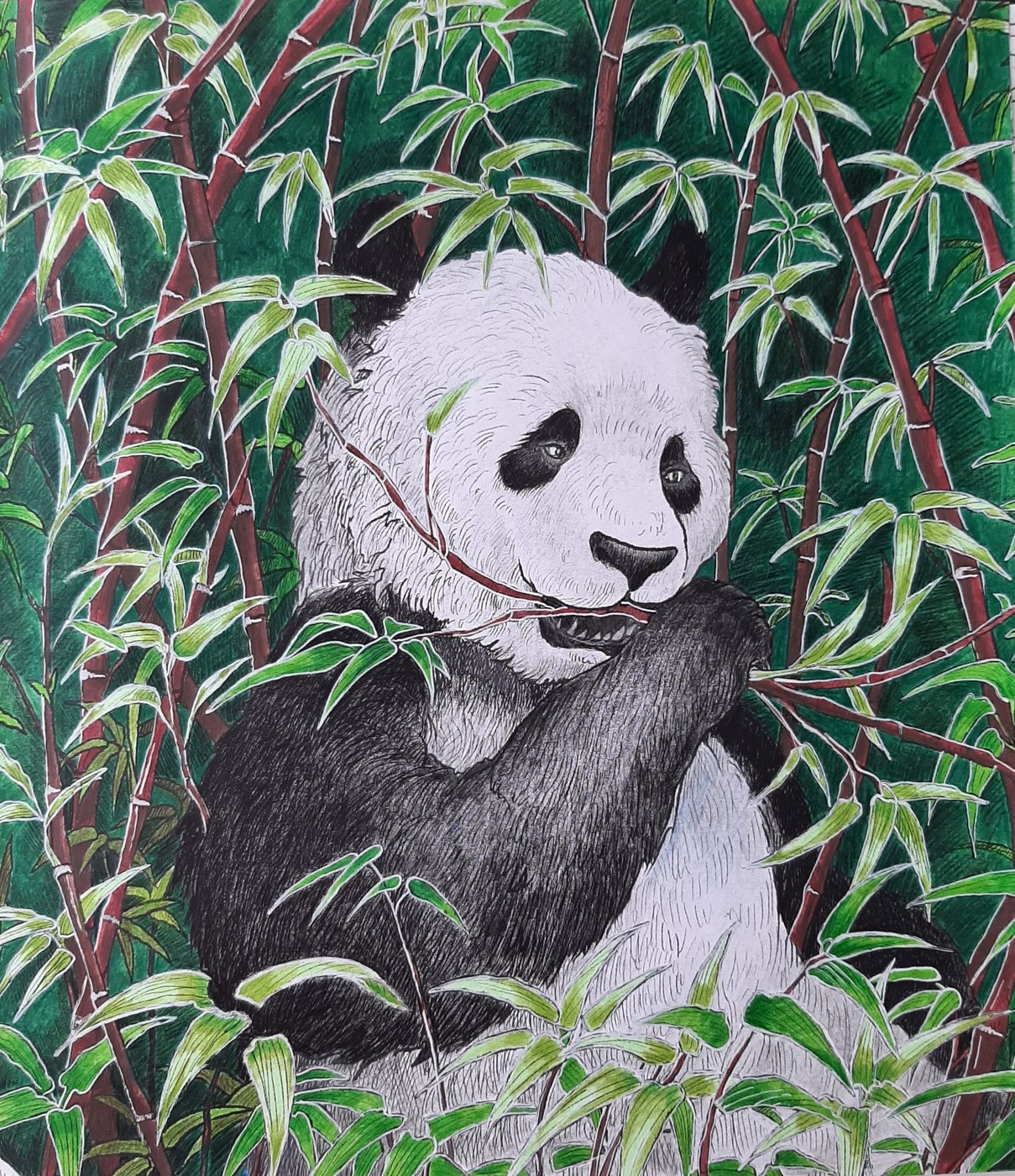 Работа от Natalya_coloring