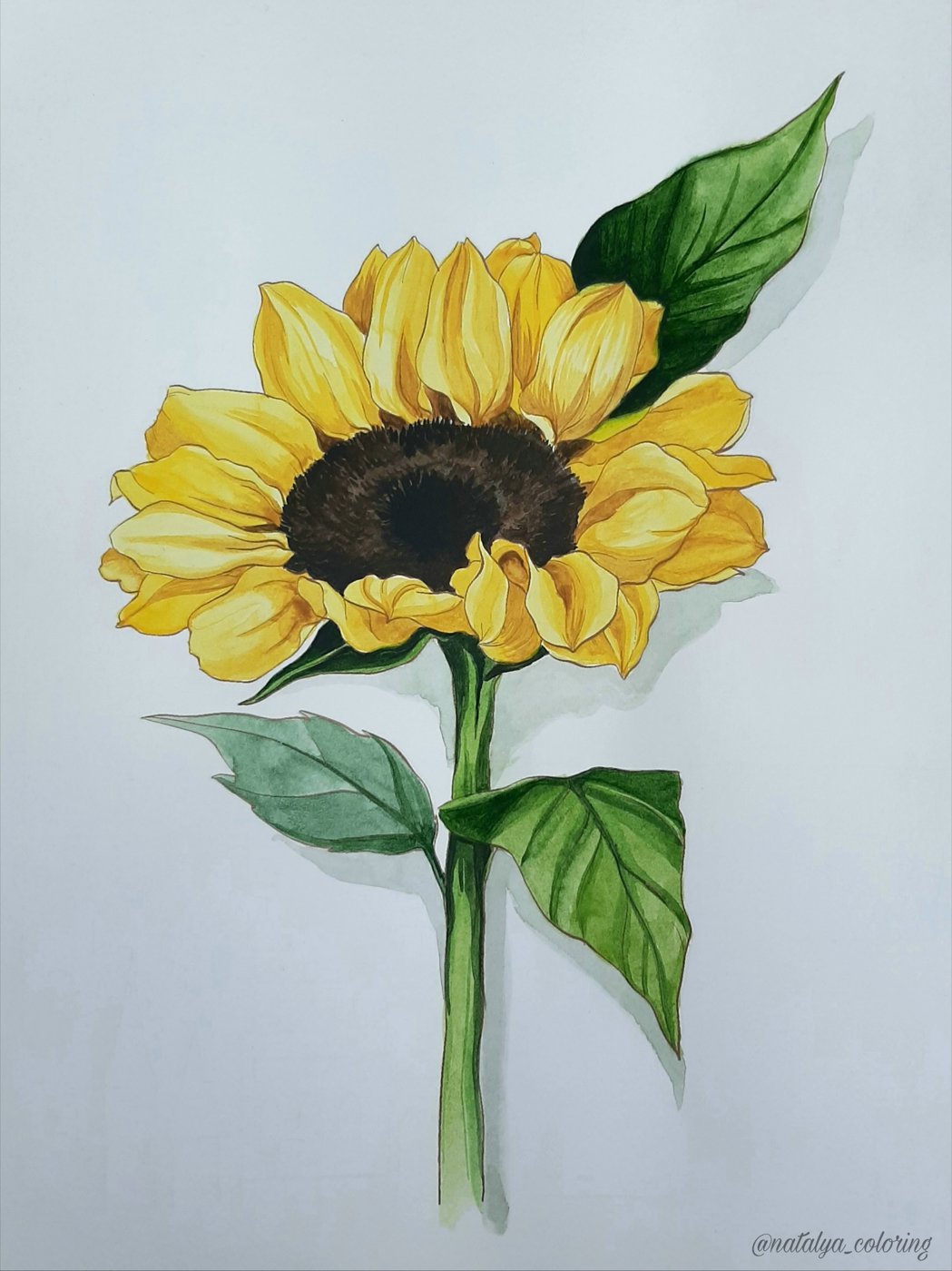 Работа от Natalya_coloring